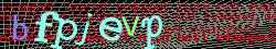 Ovovac kd