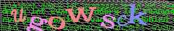 Ovovac kd