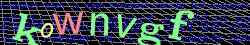 Ovovac kd