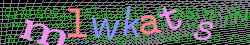 Ovovac kd