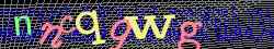 Ovovac kd