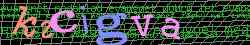 Ovovac kd
