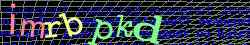 Ovovac kd