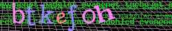 Ov��ovac� k�d