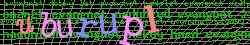 Ov��ovac� k�d