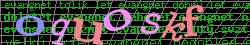Ovovac kd