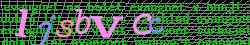 Ovovac kd