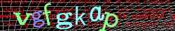 Ov��ovac� k�d
