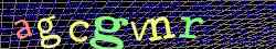 Ovovac kd