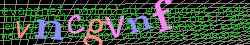 Ovovac kd