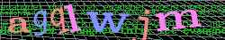 Ovovac kd