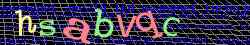 Ov��ovac� k�d