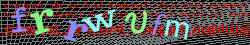 Ovovac kd