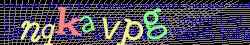 Ovovac kd