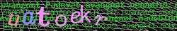 Ov��ovac� k�d