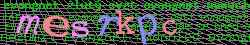 Ovovac kd