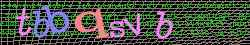 Ov��ovac� k�d