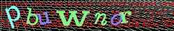 Ovovac kd