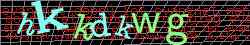 Ovovac kd