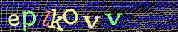 Ovovac kd