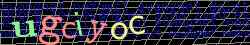 Ovovac kd