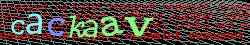 Ovovac kd