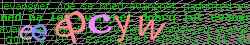 Ovovac kd