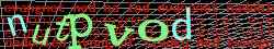 Ovovac kd