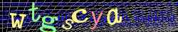 Ovovac kd