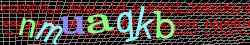 Ovovac kd