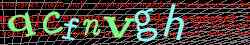 Ovovac kd