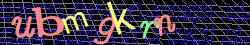 Ovovac kd