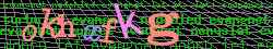 Ov��ovac� k�d