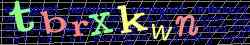 Ovovac kd