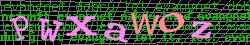 Ovovac kd