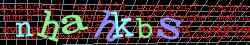 Ovovac kd