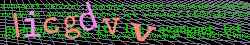 Ovovac kd