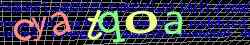 Ovovac kd