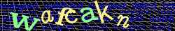 Ovovac kd