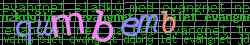 Ov��ovac� k�d