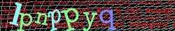 Ovovac kd